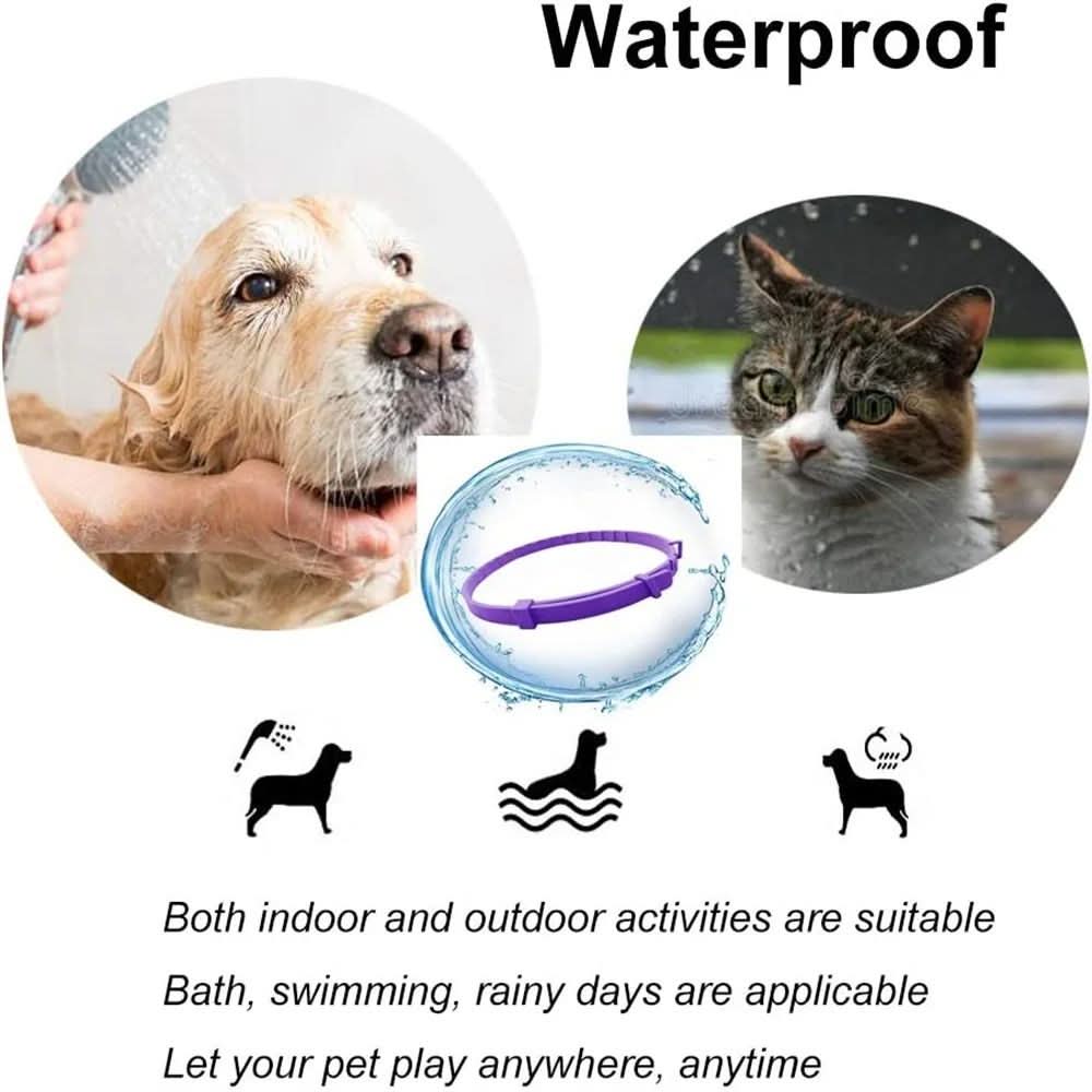 BowLift | Flea & Tick Protection Collar for Dogs & Cats
