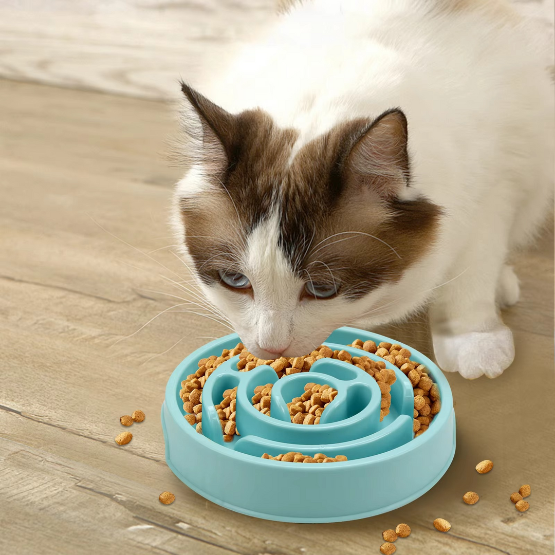 BowLift | Ultimate Pet Slow Feeder Bowl – Secure and Robust for All Pet Sizes