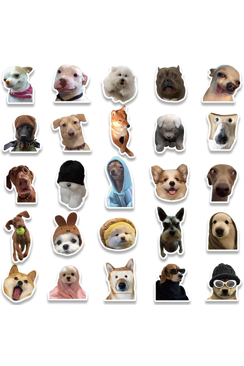 Cat Meme Funny Stickers 10/30/50/100 Pieces | Bowlift