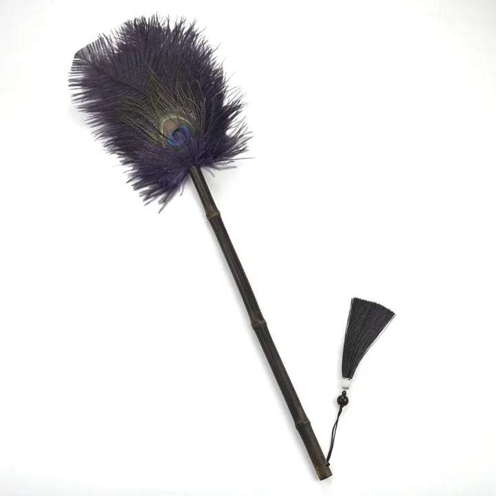 Peacock Feather Anti-Static Dusting Brush | Bowlift