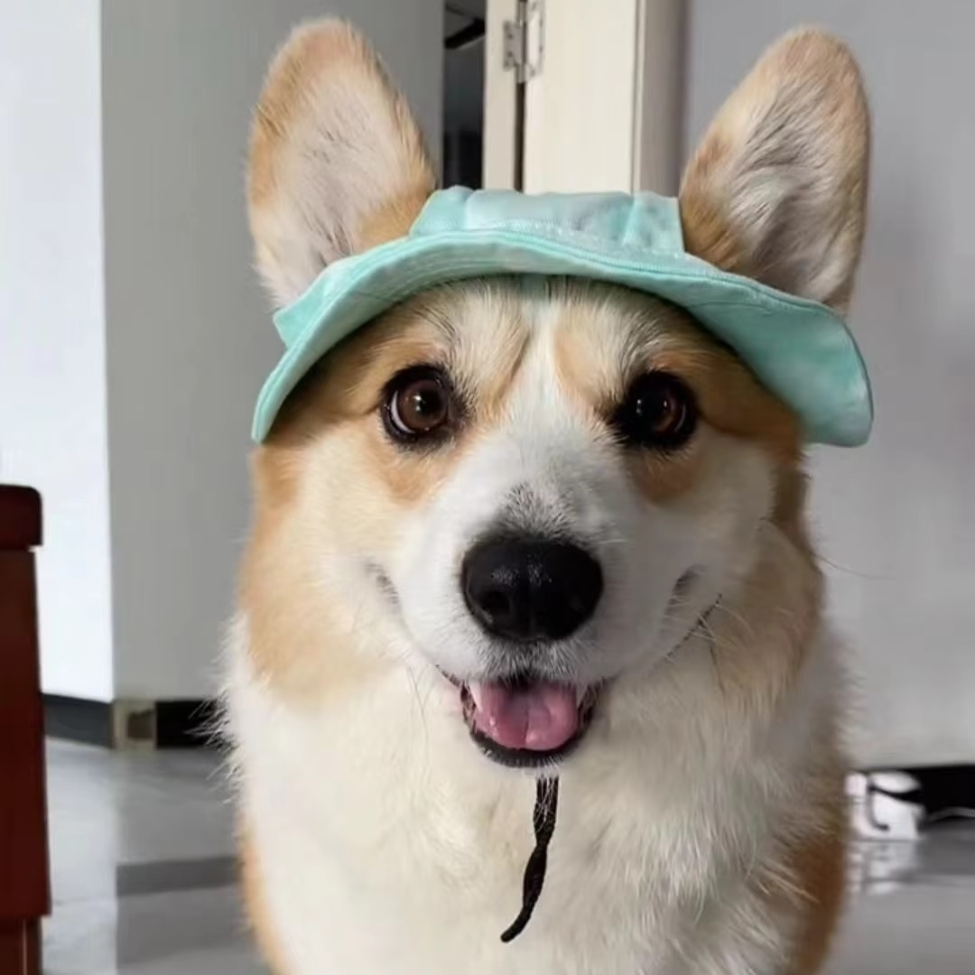 BowLift | Chic Pet Sun Hat - Lightweight & Stylish Sun Protection for Dogs and Cats