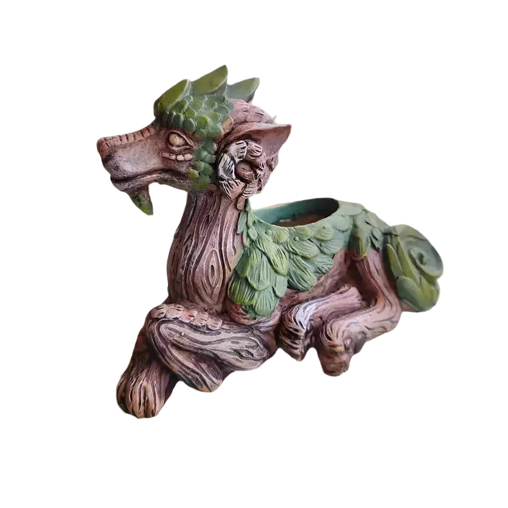 WhimsiDragon Succulent Plant Box with Playful Fantasy Design Bowlift