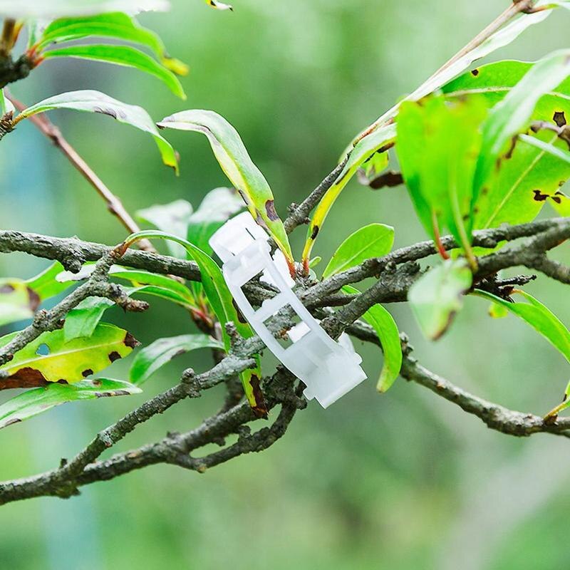 Green Garden Safe Plant Support Clips | Bowlift