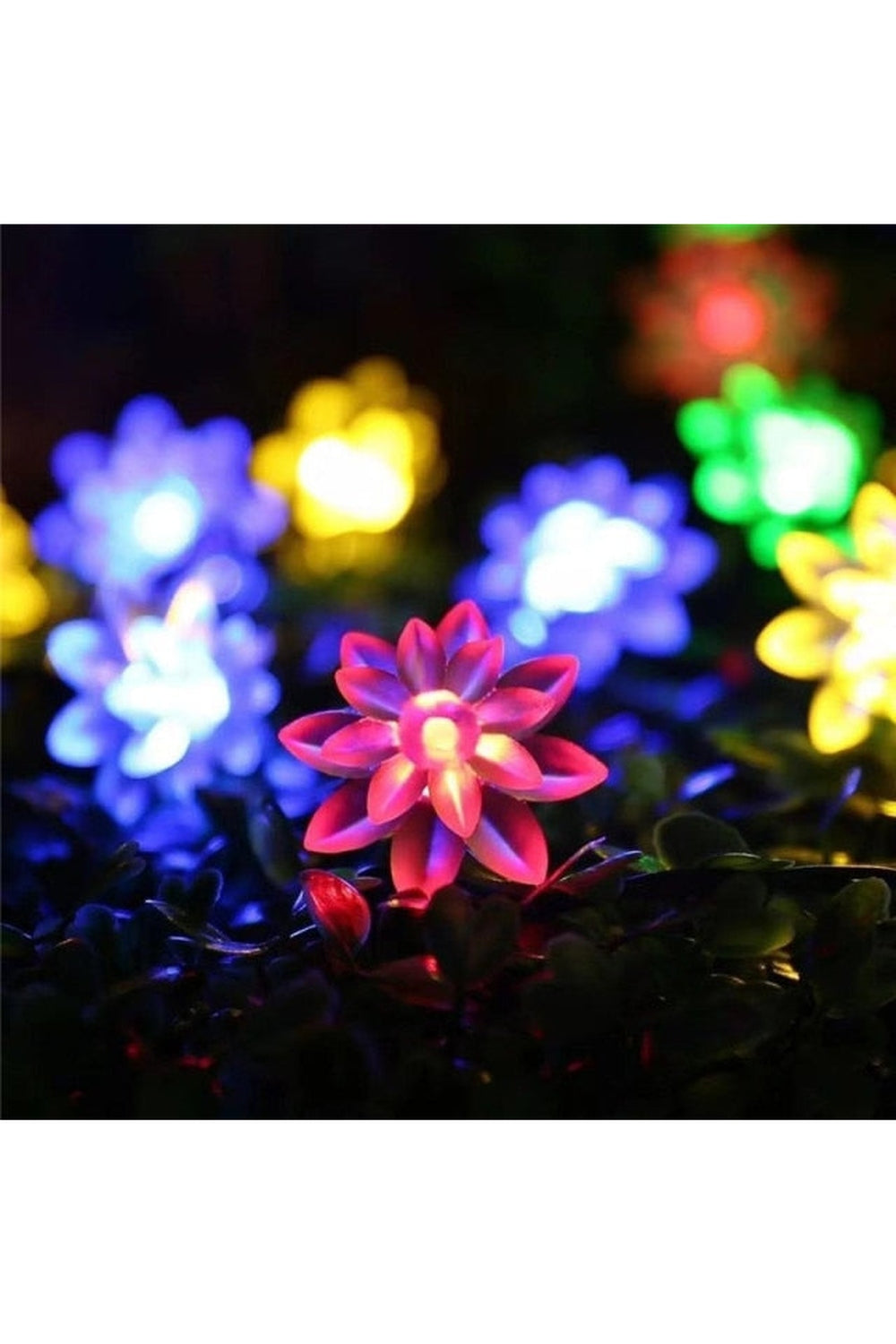 Solar Blossom String Lights | Bowlift