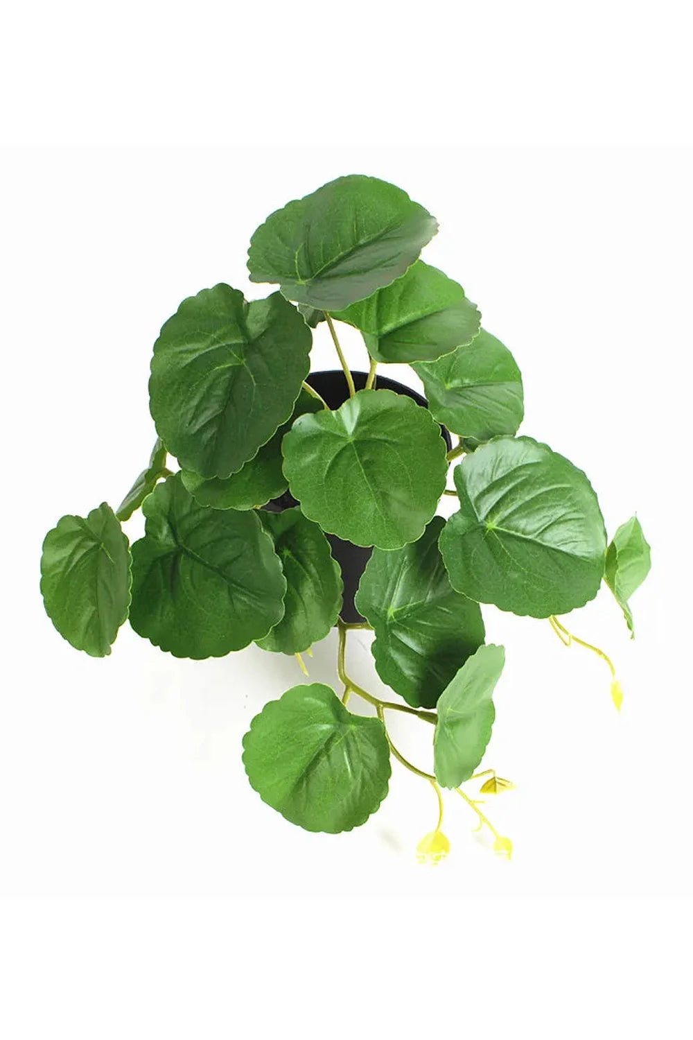 Green Artificial Plants | Bowlift
