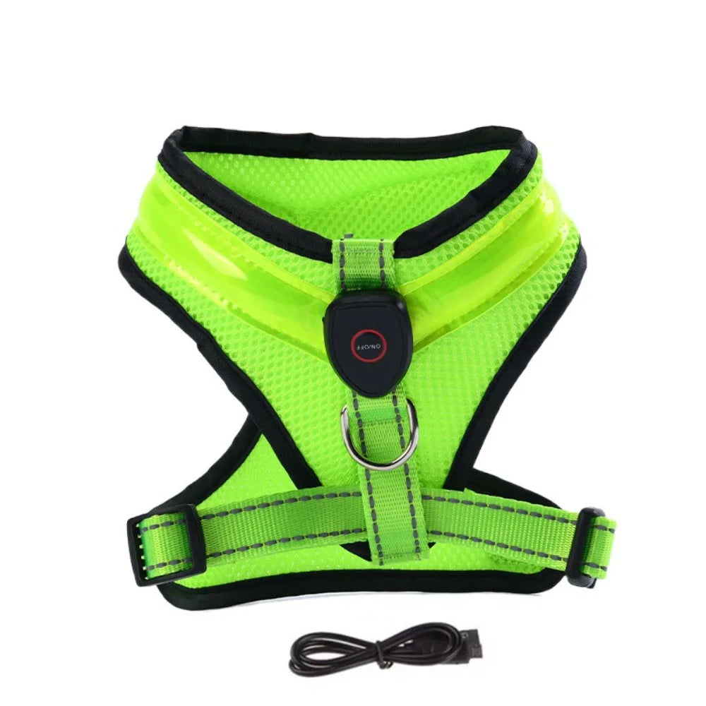 LED Dog Harness USB rechargeable & adjustable Bowlift