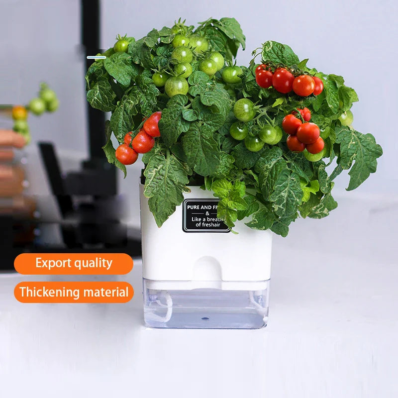 BowLift | Plant Pot BloomEase | Self-Watering & Space-Saving | With Water Level Indicator | For Indoor Plants & Herbs