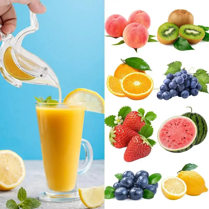 BowLift | Acrylic Lemon Squeezer