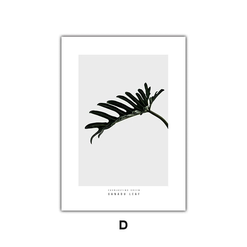 Minimalist Green Leaves Modern Botanical Specimen Wall art Fine Art Canvas Prints Gallery Wall Pictures For Living Room Dining Room Art Decor | Bowlift
