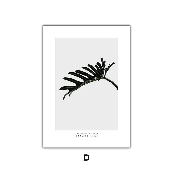 Minimalist Green Leaves Modern Botanical Specimen Wall art Fine Art Canvas Prints Gallery Wall Pictures For Living Room Dining Room Art Decor | Bowlift