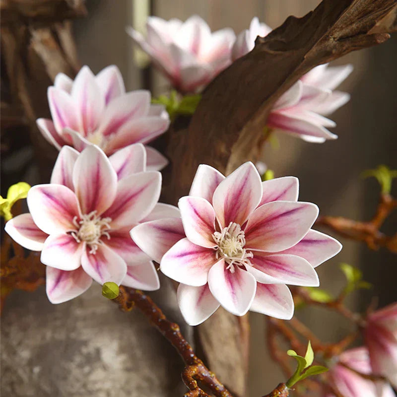 BowLift | Artificial Magnolia Flowers