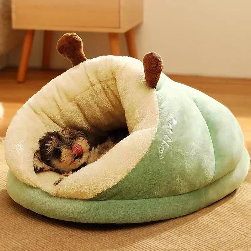 BowLift | Winter Cuddles for Your Dog