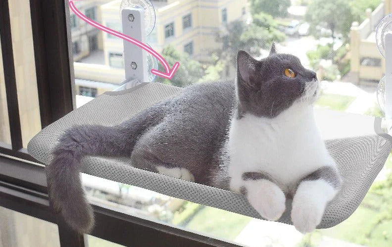 Wall-Mounted Cat Lounge - SkyRest Bowlift