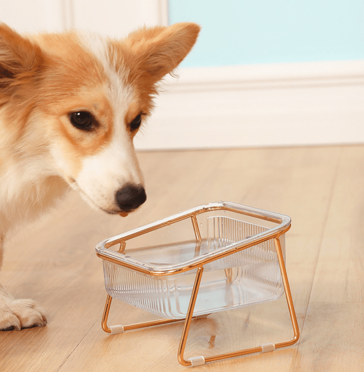BowLift | PETCHIC – Raised feeding bowl for healthy eating posture for cats & small dogs