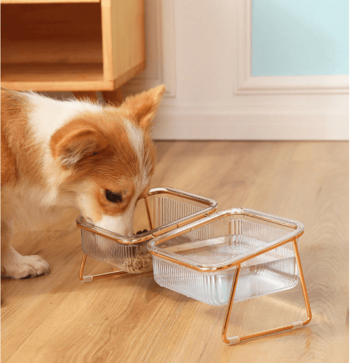 BowLift | PETCHIC – Raised feeding bowl for healthy eating posture for cats & small dogs