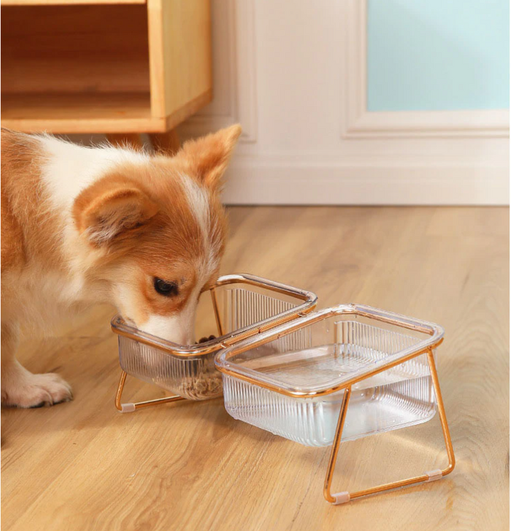 Trendy Feeder for Stylish Animals Bowlift