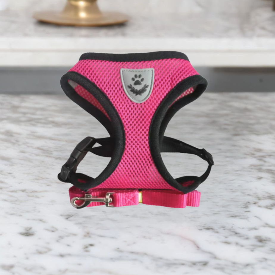 BowLift | Comfortable Cat Harness and Leash Set, Adjustable Breathable Design for Safe Outdoor Adventures – Best Cat Harness for Kittens and Cats