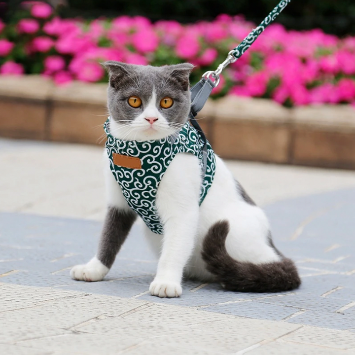 BowLift | Stylish Cat Harness with Matching Leash - Comfortable and Easy to Wear, Adjustable Fit for Cats and Kittens