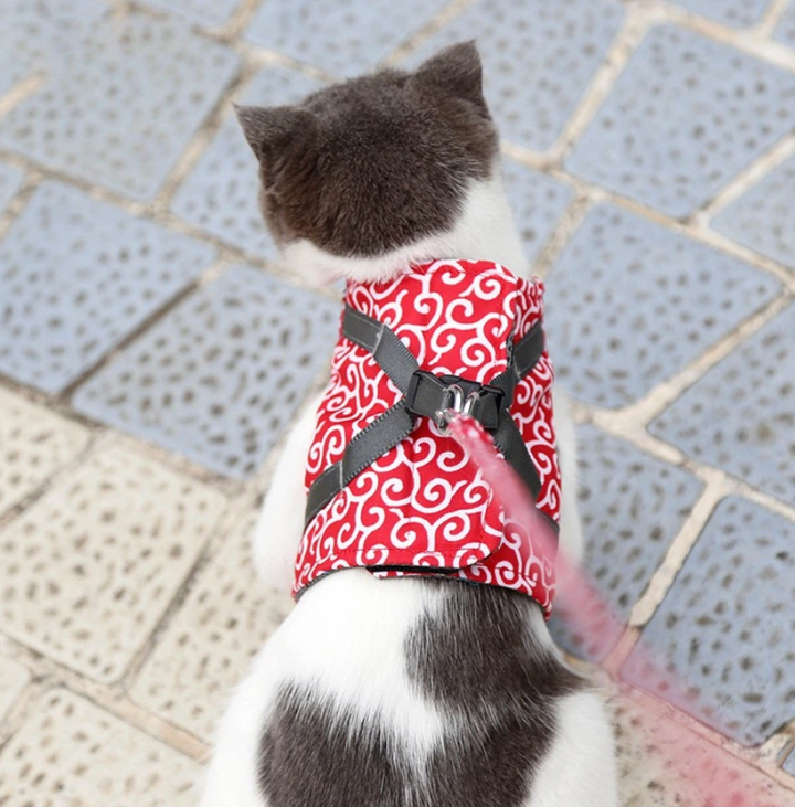 BowLift | Stylish Cat Harness with Matching Leash - Comfortable and Easy to Wear, Adjustable Fit for Cats and Kittens