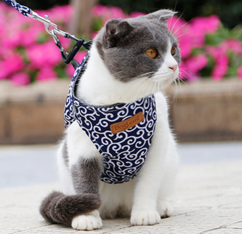 BowLift | Stylish Cat Harness with Matching Leash - Comfortable and Easy to Wear, Adjustable Fit for Cats and Kittens