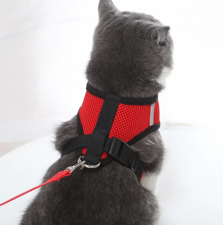 BowLift | Comfortable Cat Harness and Leash Set, Adjustable Breathable Design for Safe Outdoor Adventures – Best Cat Harness for Kittens and Cats