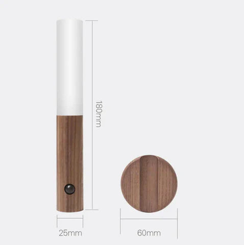 Mountable Motion Sensor Light Bowlift