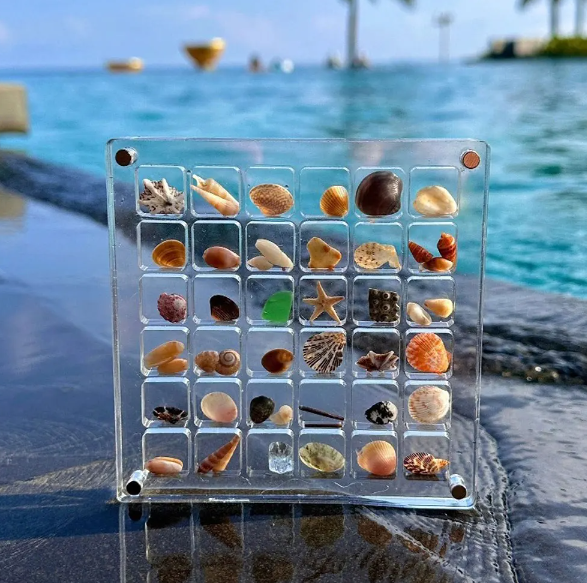 Acrylic Treasure Keeper | Stylishly Store Your Sea Collection | Bowlift