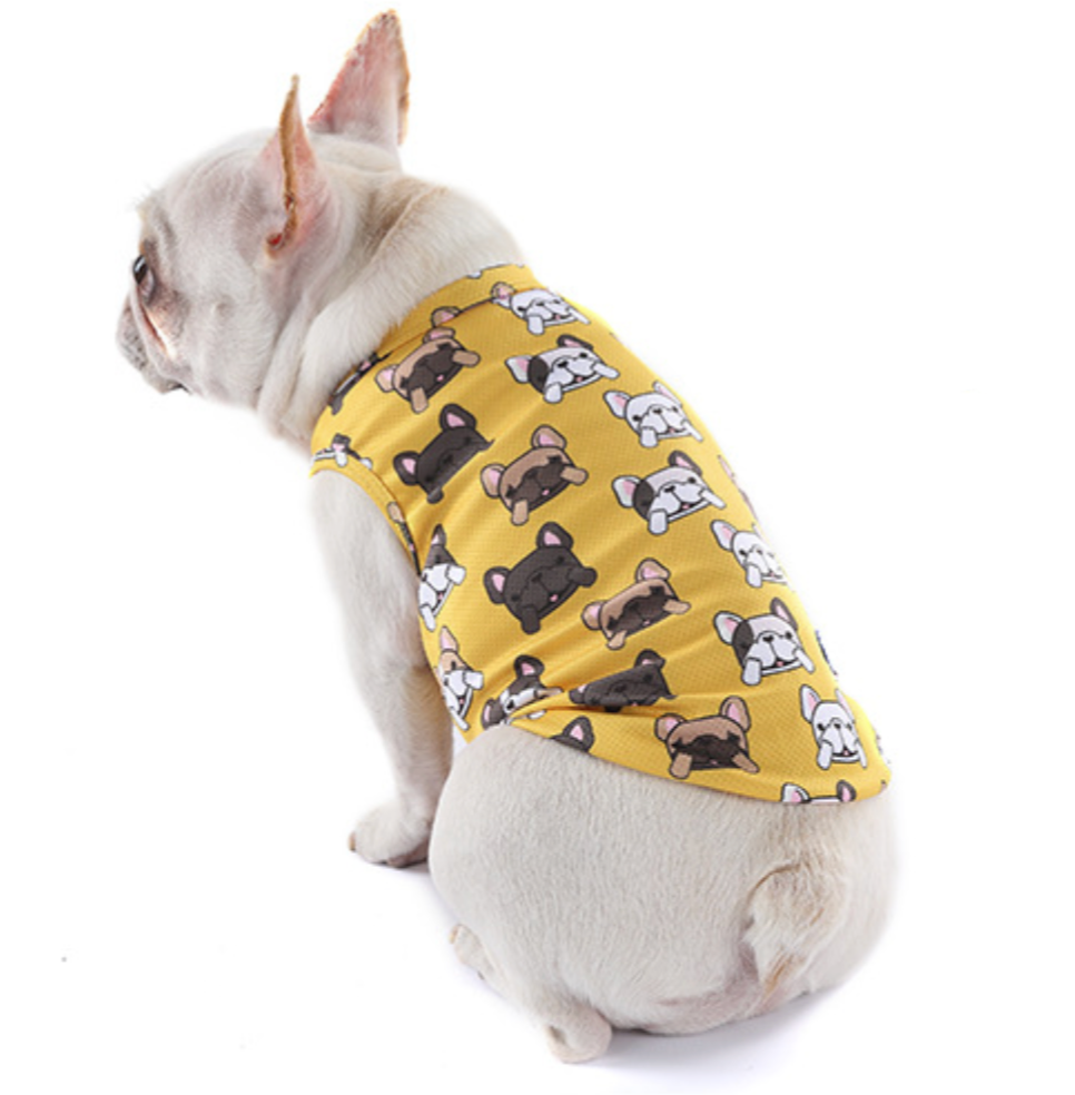 Coolify™: Summer Cooling Vest (CS17) | Bowlift