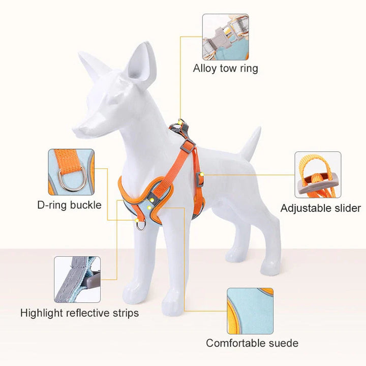 Reflective Puppy Harness – PawSafe Bowlift