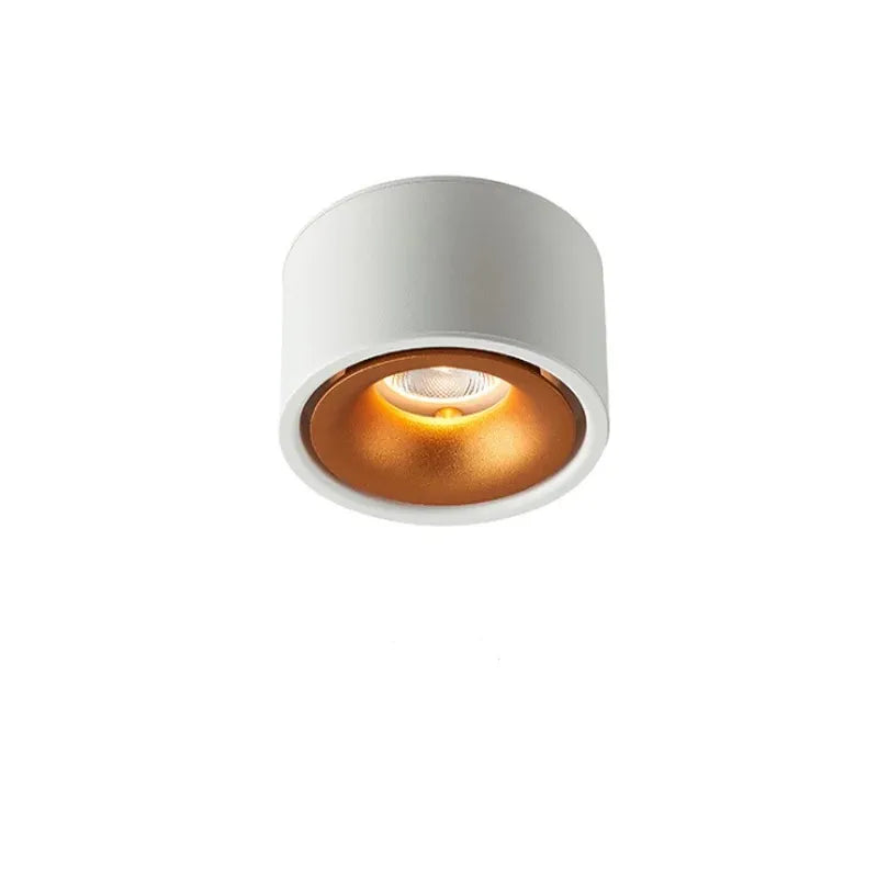 BowLift | Glare-free LED Ceiling Spot