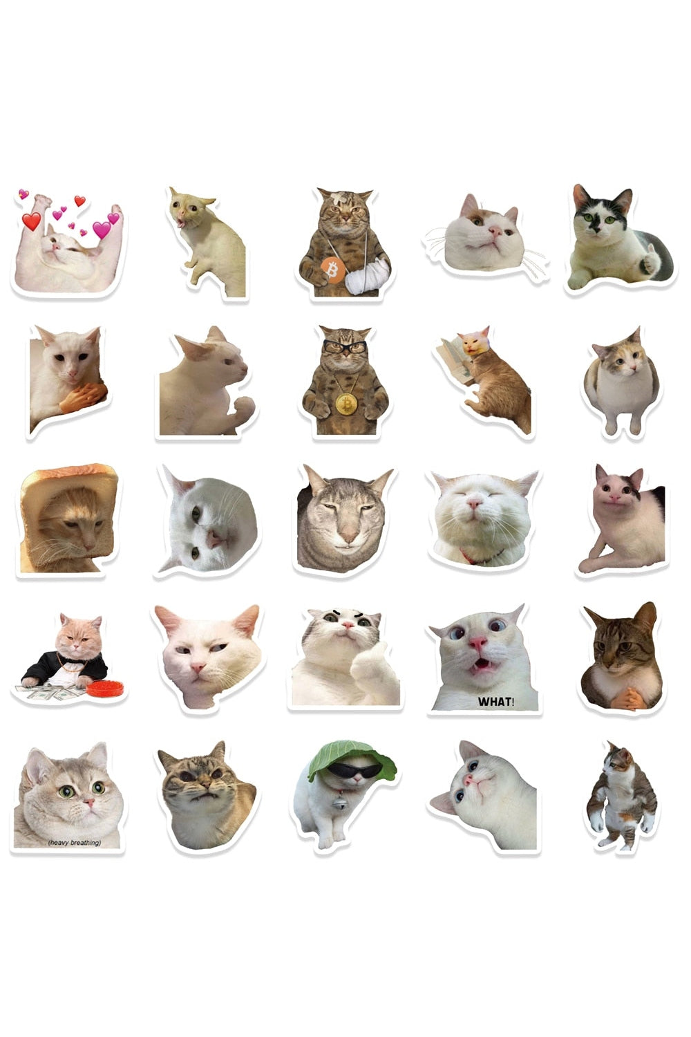 Cat Fun Stickers 50 Pieces | Bowlift