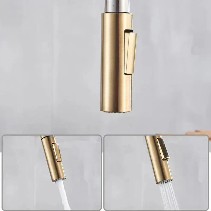 360° swivel faucet Bowlift