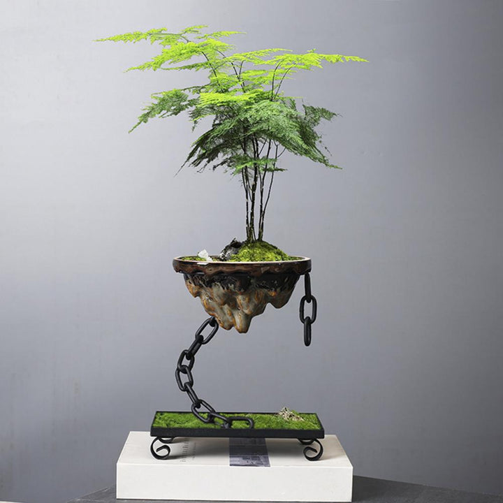BowLift | Plant Pot Floating Bonsai Hanging Display Bowl