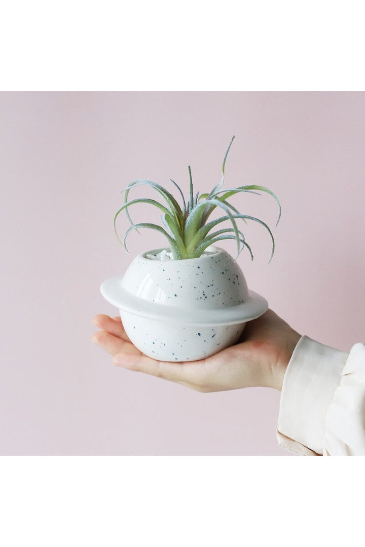Motif ceramic pot for succulents | Bowlift