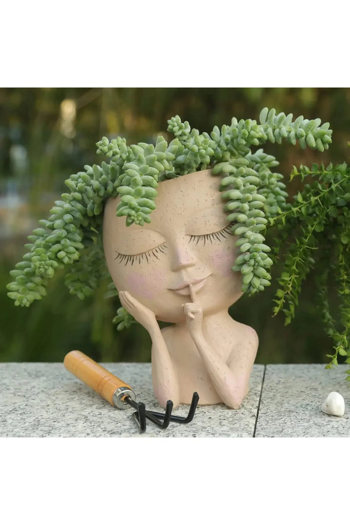 Succulent Plants Pot | Bowlift