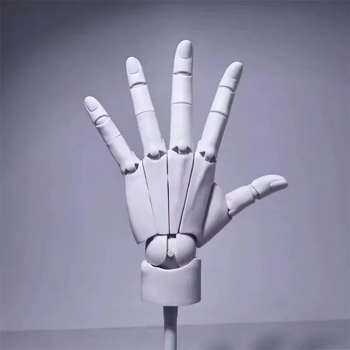 Multi-Pose Drawing Sculpting Art Hand Model | Bowlift
