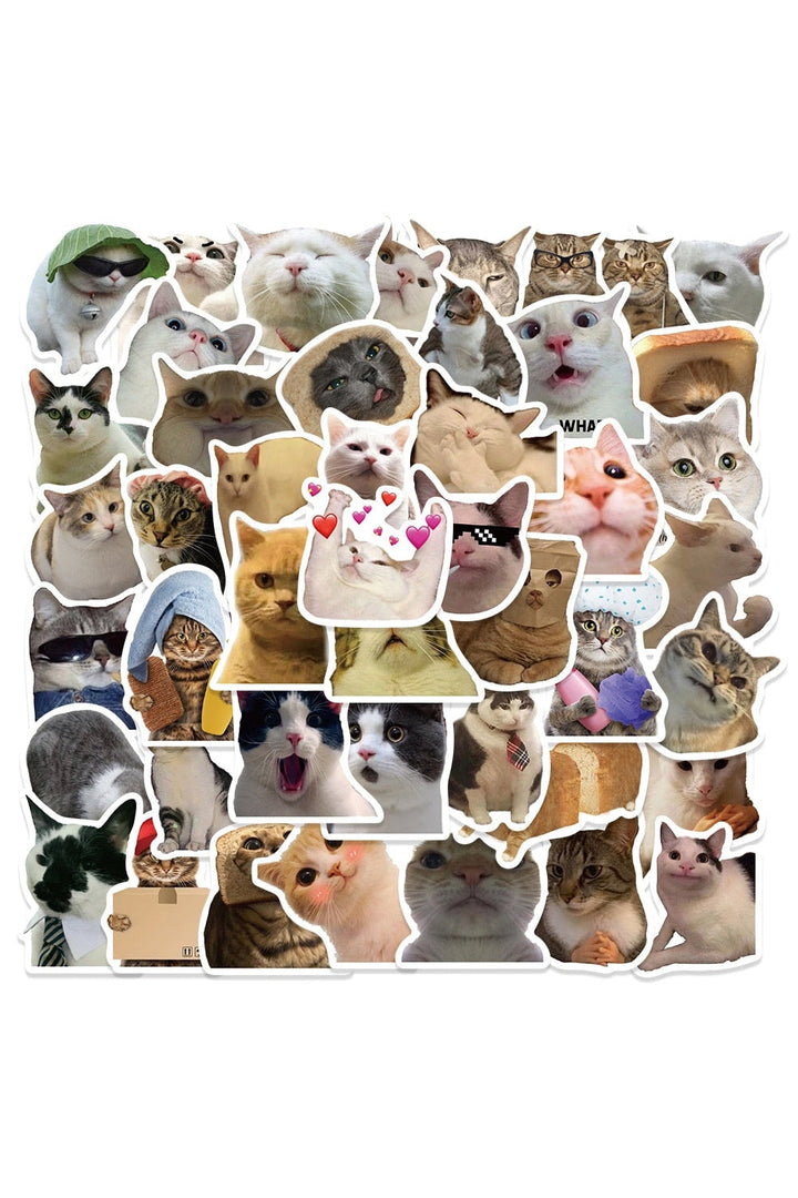Cat Fun Stickers 50 Pieces | Bowlift