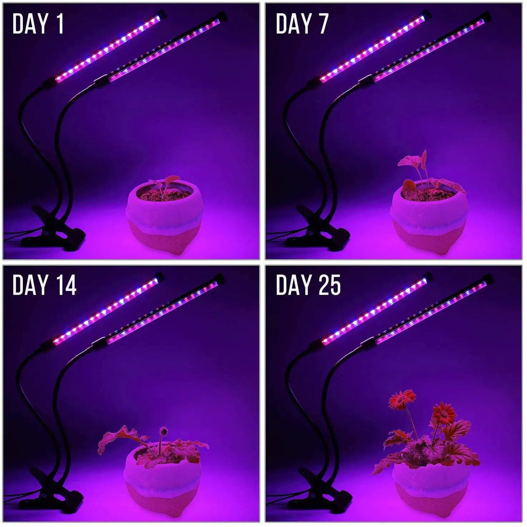 BowLift | LumiPlant LED Plant Light | USB Grow Light | 1–4 Heads | Dimmable with Timer