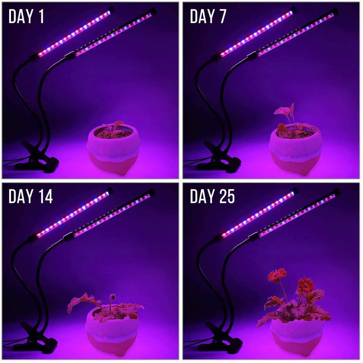 BowLift | LumiPlant LED Plant Light | USB Grow Light | 1–4 Heads | Dimmable with Timer