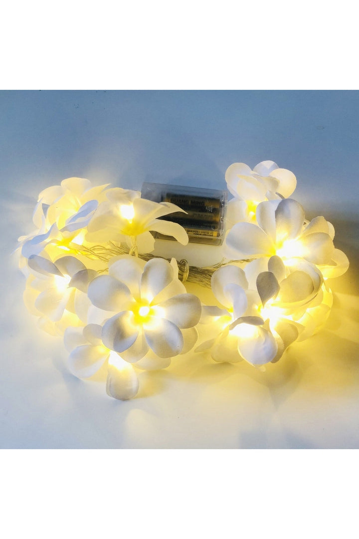 Rose Petal LED String Lights | Bowlift