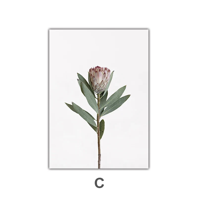 Minimalist Pink Floral Botanical Wall Art Fine Art Canvas Prints Posters Elegant Pictures For Nordic Living Room Dining Room Bedroom Art Decor | Bowlift