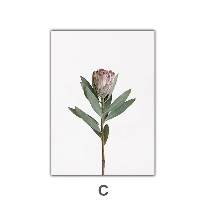 Minimalist Pink Floral Botanical Wall Art Fine Art Canvas Prints Posters Elegant Pictures For Nordic Living Room Dining Room Bedroom Art Decor | Bowlift
