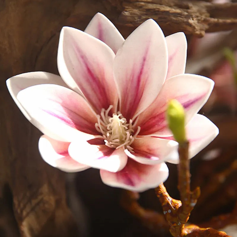 BowLift | Artificial Magnolia Flowers