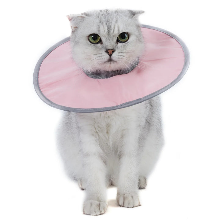 Cat protection collar soft & comfortable Bowlift