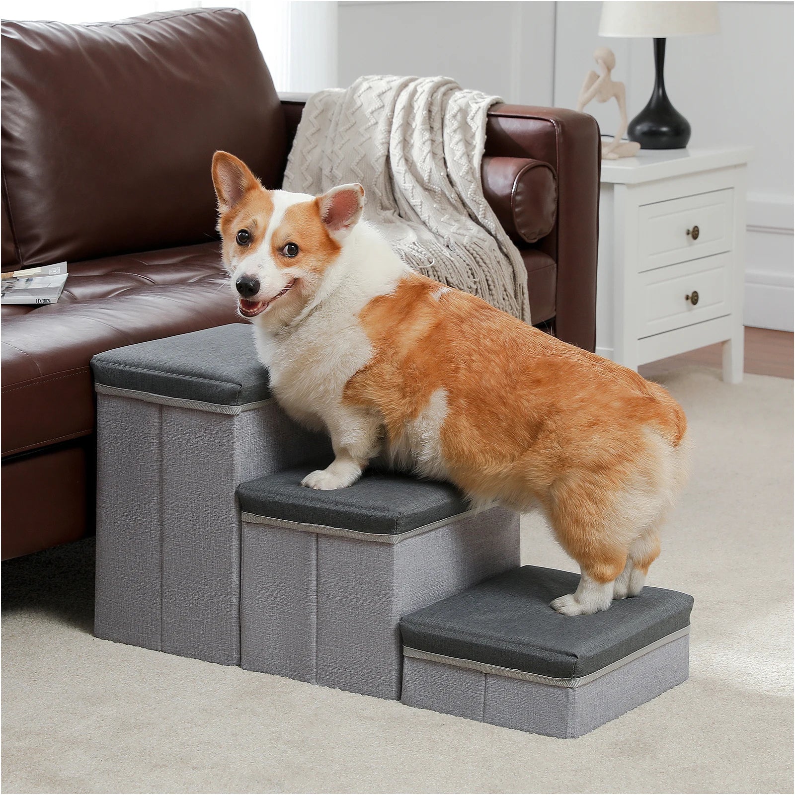 PetLift •  2-in-1 Foldable Dog Stairs & Storage Ladder