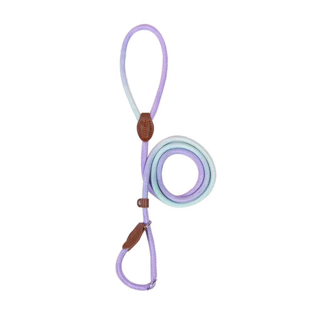 BowLift | Colorful Dog Leash for Stylish Walks