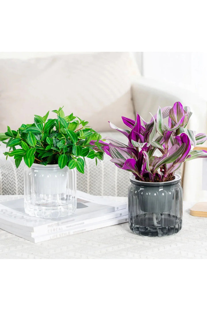 Self-watering flower pot | Bowlift