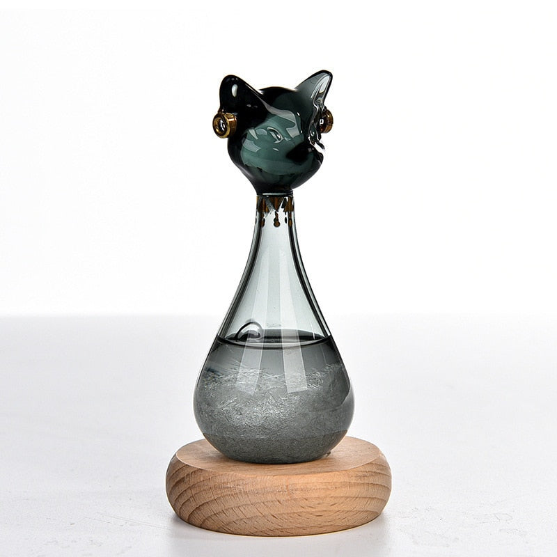 Cat-Inspired Weather Forecast Bottle | Bowlift