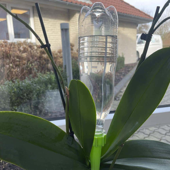 Self-watering for potted plants / beds - Pack of 6 pcs. | Bowlift