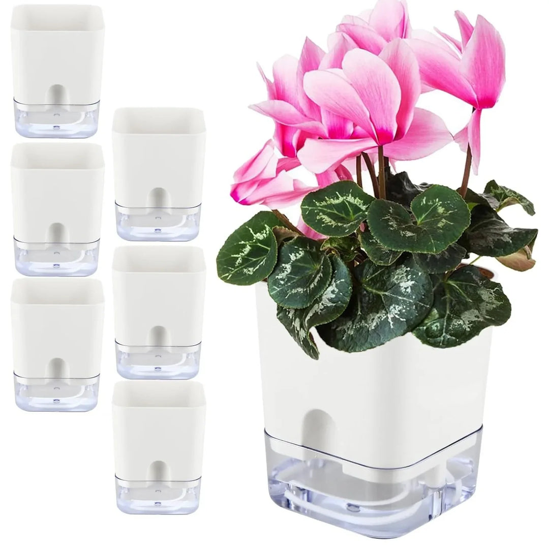 BowLift | Plant Pot BloomEase | Self-Watering & Space-Saving | With Water Level Indicator | For Indoor Plants & Herbs